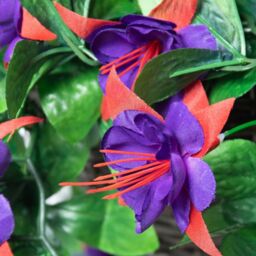 Primrose Artificial Fuchsia Flowers Rattan Hanging Basket Decoration Purple 25cm in Green - thumbnail 3