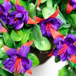 Primrose Artificial Fuchsia Flowers Rattan Hanging Basket Decoration Purple 25cm in Green - thumbnail 2