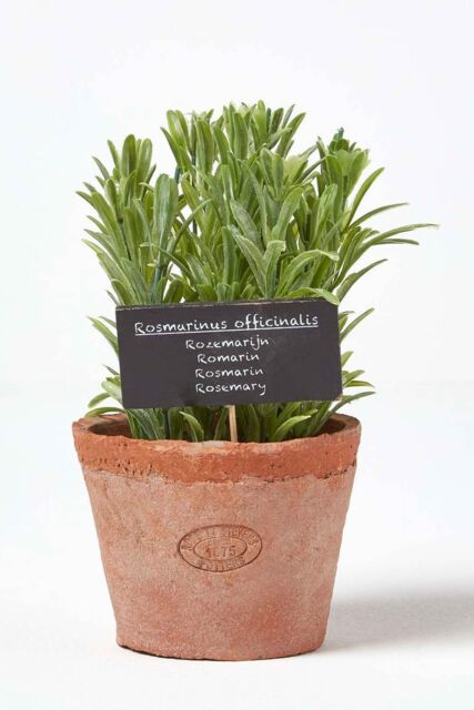 Homescapes Artificial Rosemary Plant in Decorative Pot in Terracotta - image 1