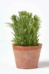 Homescapes Artificial Rosemary Plant in Decorative Pot in Terracotta - thumbnail 4