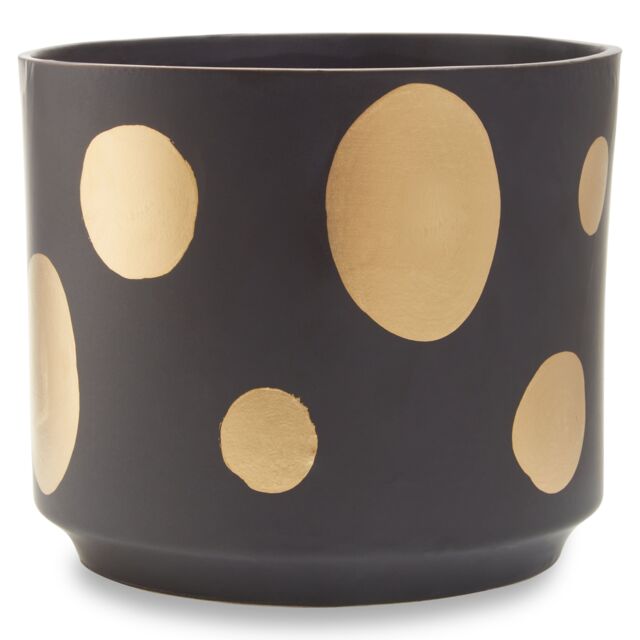 Orsina Big Garden Pot, Speckled Ceramic Planter for Indoor Plants & Home Decor, Indoor Plants pot, Large Flower & Plant Pot in Black - image 1