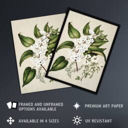"Artery8 Hibiscus & Saltmarsh Ribbonwood Flowers Featon Wall Art Poster Print in Beige - Size: W12"" x H16""" - thumbnail 2