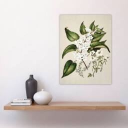 "Artery8 Hibiscus & Saltmarsh Ribbonwood Flowers Featon Wall Art Poster Print in Beige - Size: W12"" x H16""" - thumbnail 4