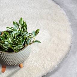 THE RUGS Myk Olaf High Pile Rug Plush Soft Plain Design 38 mm Pile in White - Size: 200 cm x 290 cm - thumbnail 9