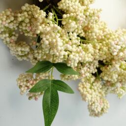 Leaf 55cm Artificial Hanging White Berries Wreath in Green - thumbnail 6