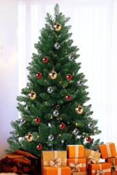 Neel Blue Nordic Christmas Tree, Pre-Lit Pine Xmas Tree, Warm White Leds in Green - Size: 4ft - thumbnail 6