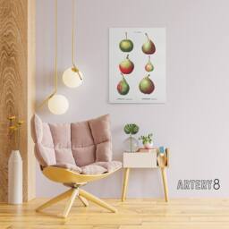 "Artery8 Pear Fruit Varieties Redoute Vintage Canvas Wall Art in White - Size: W18"" x H24""" - thumbnail 3
