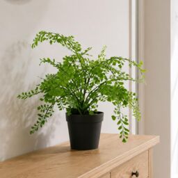 Leaf Artificial Potted Fern Plant 35cm in Green - thumbnail 5