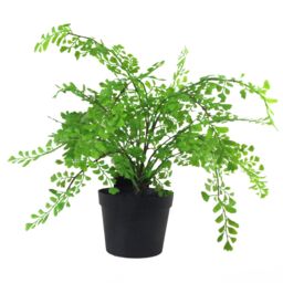 Leaf Artificial Potted Fern Plant 35cm in Green - thumbnail 4