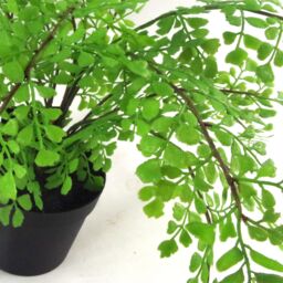 Leaf Artificial Potted Fern Plant 35cm in Green - thumbnail 2