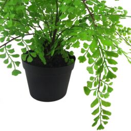Leaf Artificial Potted Fern Plant 35cm in Green - thumbnail 3