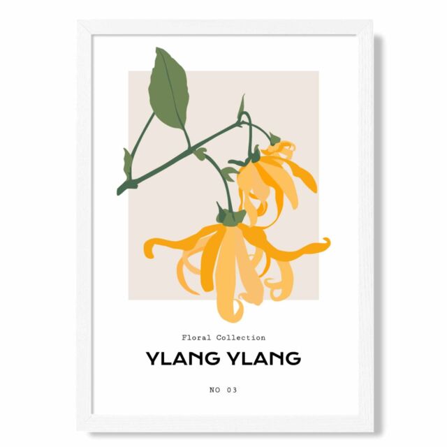 ARTZE Yellow Ylang Ylang Plant Flower Market Spring Framed Print SIZE: A2 with White Frame - Size: A4 - image 1