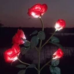 Havendro Red Solar Power LED 5 Head Rose Flower Stake Lights Garden - thumbnail 2
