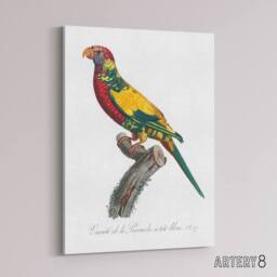 "Artery8 The Rainbow Lorikeet Parrot Levaillant Canvas Wall Art Print in White - Size: W12"" x H16""" - thumbnail 2