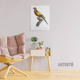 "Artery8 The Rainbow Lorikeet Parrot Levaillant Canvas Wall Art Print in White - Size: W12"" x H16""" - thumbnail 3
