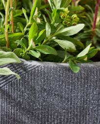Dibor Large Grey Symmetry Stripe Fibre Clay Indoor Outdoor Garden Planter Houseplant Flower Plant Pot H37 x Dia55cm - thumbnail 5