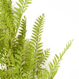 Leaf 6 x 95cm Artificial Himilayan Maidenhair Fern Stem in Green - Size: 6 x 95 cm - thumbnail 2