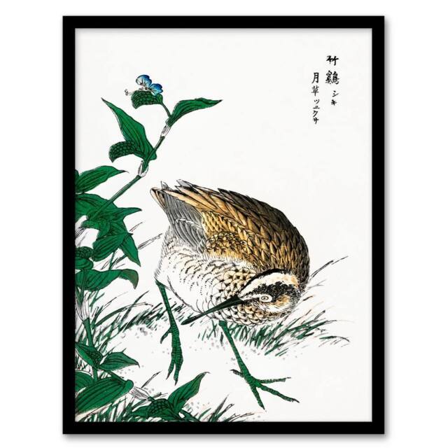 Artery8 Numata Kashu Framed Wall Art Print Greenshank & Bupleurum Japan - Size: A4 - image 1