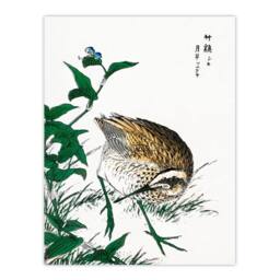 Artery8 Numata Kashu Framed Wall Art Print Greenshank & Bupleurum Japan - Size: A4 - thumbnail 3