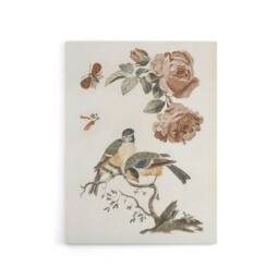 "Artery8 Roses Butterfly A Blue & Great Tit Teyler Canvas Wall Art in White - Size: W18"" x H24""" - thumbnail 1