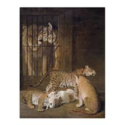 Artery8 Whelps Lion & Tigress in Zoo Cage Agasse Framed Wall Art Print in Brown - Size: A3 - thumbnail 3
