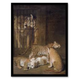 Artery8 Whelps Lion & Tigress in Zoo Cage Agasse Framed Wall Art Print in Brown - Size: A3 - thumbnail 1