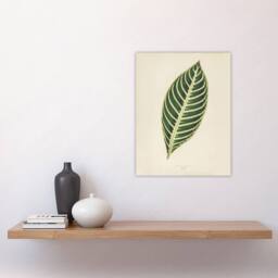 "Artery8 Vintage Botanical Tiger Plant Leaf Fawcett Wall Art Poster Print in Beige - Size: W18"" x H24""" - thumbnail 4