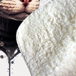 Warren Reed - Designer Cornish Rex Cat Splashart Sherpa Blanket - Size: Large - thumbnail 3