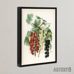 "Artery8 Black Naples Victoria White Dutch Currants Wright Framed Canvas Art - Size: W18"" x H24""" - thumbnail 2