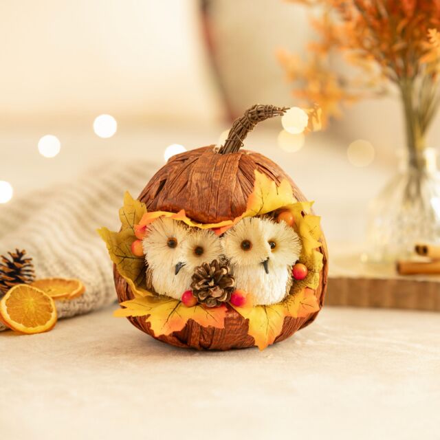 Marco Paul Autumn Decor Pumpkin Decoration with Owls Fall Decoration 17cm in Orange - image 1