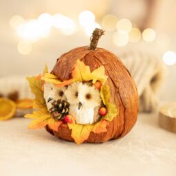 Marco Paul Autumn Decor Pumpkin Decoration with Owls Fall Decoration 17cm in Orange - thumbnail 9
