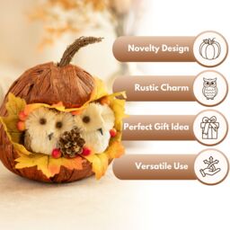 Marco Paul Autumn Decor Pumpkin Decoration with Owls Fall Decoration 17cm in Orange - thumbnail 4