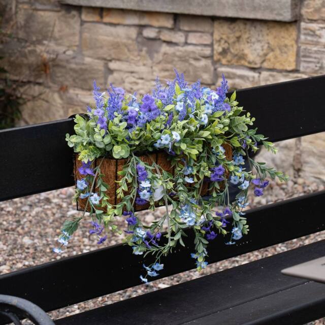 Scottish Everlastings Ltd 55cm Mixed Trailing Outdoor Window Hanging Trough - image 1