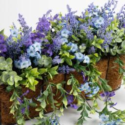 Scottish Everlastings Ltd 55cm Mixed Trailing Outdoor Window Hanging Trough - thumbnail 2