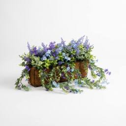 Scottish Everlastings Ltd 55cm Mixed Trailing Outdoor Window Hanging Trough - thumbnail 3
