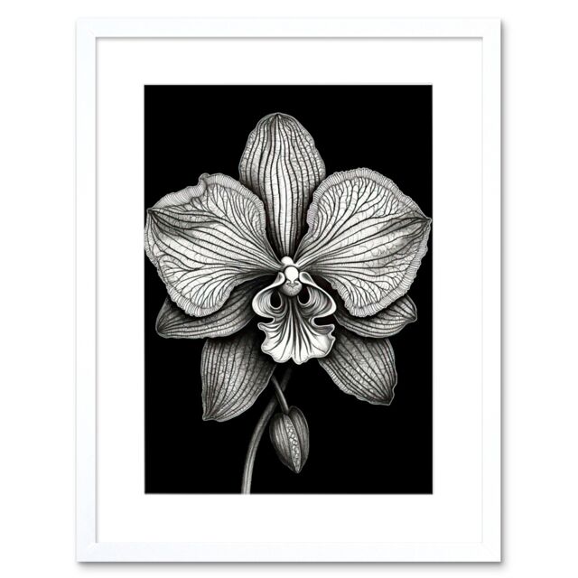 "Artery8 Wall Art Print Detailed Orchid Flower Petals in Black & White Artwork Framed 9X7 Inch - Size: W7"" x H9""" - image 1