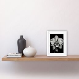 "Artery8 Wall Art Print Detailed Orchid Flower Petals in Black & White Artwork Framed 9X7 Inch - Size: W7"" x H9""" - thumbnail 2