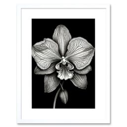 "Artery8 Wall Art Print Detailed Orchid Flower Petals in Black & White Artwork Framed 9X7 Inch - Size: W7"" x H9""" - thumbnail 1