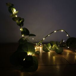 Samuel Alexander 50 LED 2.5m Premier MicroBrights Indoor Outdoor Christmas Multi Function Battery Operated Lights w/ Timer on Pin Wire in Warm White - thumbnail 3