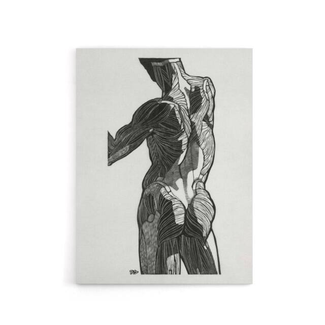 "Artery8 Anatomical study of gluteal muscles Stolk Canvas Wall Art Print in White - Size: W18"" x H24""" - image 1