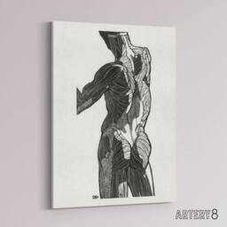 "Artery8 Anatomical study of gluteal muscles Stolk Canvas Wall Art Print in White - Size: W18"" x H24""" - thumbnail 2