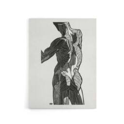 "Artery8 Anatomical study of gluteal muscles Stolk Canvas Wall Art Print in White - Size: W18"" x H24""" - thumbnail 1