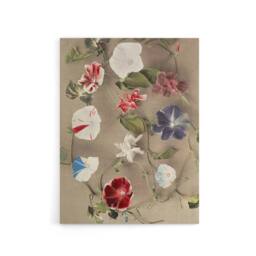 "Artery8 Group Of Morning Glories Canvas Wall Art Print Ogawa Kazumasa - Size: W18"" x H24""" - thumbnail 1