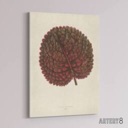 "Artery8 Vintage Botanical Gesnera Exoniensis Leaf Fawcett Canvas Wall Art in Beige - Size: W18"" x H24""" - thumbnail 2