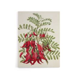 "Artery8 New Zealand Kaka Beak Plant Flowers Featon Canvas Wall Art Print in Beige - Size: W12"" x H16""" - thumbnail 1