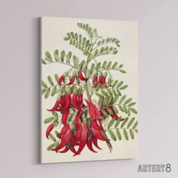 "Artery8 New Zealand Kaka Beak Plant Flowers Featon Canvas Wall Art Print in Beige - Size: W12"" x H16""" - thumbnail 2