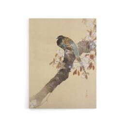 "Artery8 Pheasant On Cherry Blossom Branch Canvas Wall Art Print Koson in Beige - Size: W18"" x H24""" - thumbnail 1