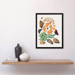 "Artery8 Flowers Butterflies & Seashells Bolton Framed Wall Art Print - Size: W12"" x H16""" - thumbnail 4