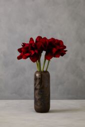 Orsina Amaryllis Stem - 72cm Burgundy, Deep Burgundy Petals With Realistic Texture & Form, Striking Faux Flower in Red - thumbnail 3