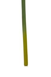 Orsina Amaryllis Stem - 72cm Burgundy, Deep Burgundy Petals With Realistic Texture & Form, Striking Faux Flower in Red - thumbnail 5